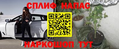a pvp Гай