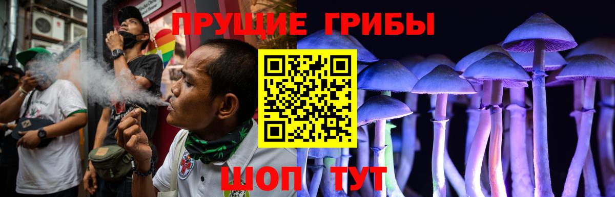 Галлюциногенные грибы прущие грибы Гатчина