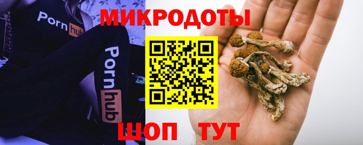 Псилоцибиновые грибы прущие грибы  Вход с VPN  Гатчина 